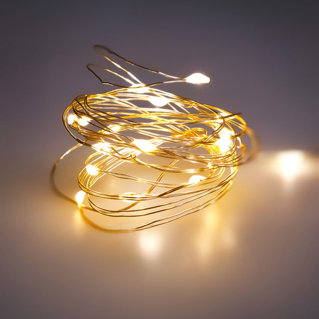 Lampki LED na druciku (20 lampek)
