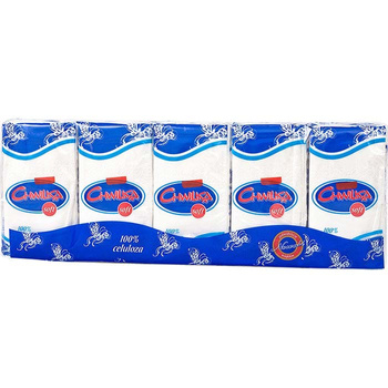 Chwilka chusteczki do nosa 10 x 10 sztuk