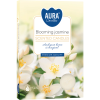 Podgrzewacze zapachowe Kwitnący Jaśmin 6szt 4h